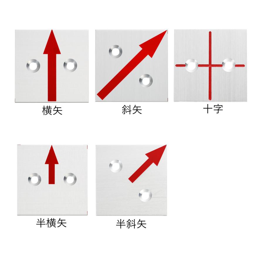 カクマル 50角 アルミ製境界プレート（2mm厚） 2穴タイプ（10枚入） 50x50x2mm　アンカーピン付き