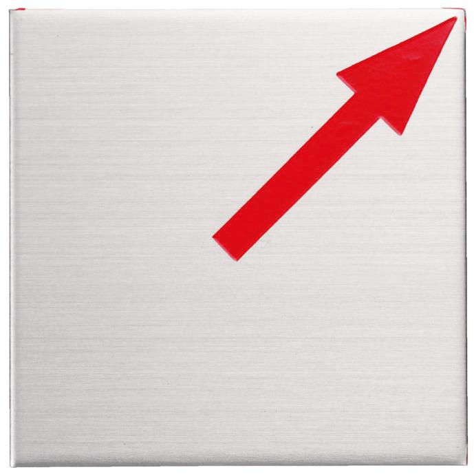 Rakuten - カクマル 50角 ステンレス製境界プレート（2mm厚） 貼付タイプ（10枚入） 半斜矢 50x50x2mm S50H