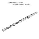 サンコーテクノ HEX-22.0P 刃先径22.0 全長280mm オールドリル 六角軸 1本