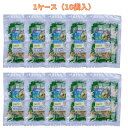 1ケース(10袋)まとめ買い ランドアート ドライ旨塩レモン 250gx10袋入 熱中症対策 猛暑対策 塩分補給に