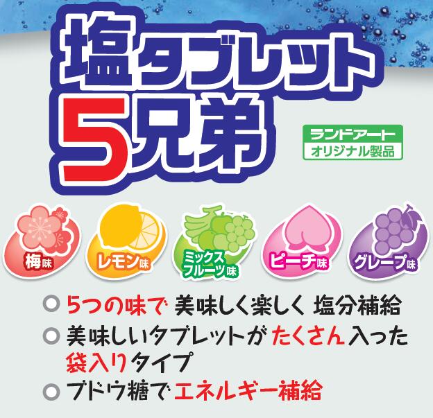 【2026年入荷】1箱12ポットまとめ買い ラ...の紹介画像2