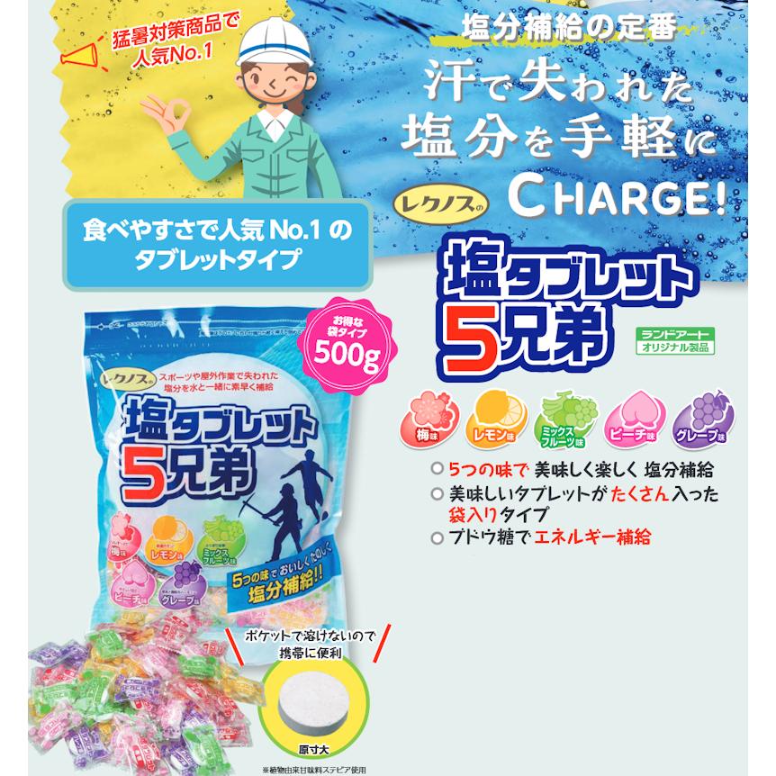 【2026年最新入荷】2袋まとめ買い ランドア...の紹介画像2