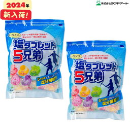 【2024年最新入荷】2袋まとめ買い ランドアート 塩タブレット5兄弟 (500g x 2袋入） [塩飴 塩あめ 塩タブレット5兄弟]