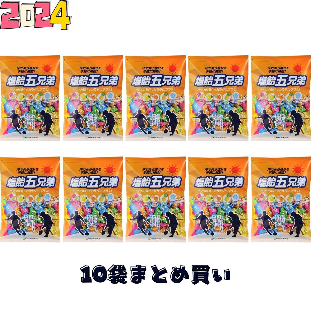 【2026年最新入荷】10袋まとめ買い ランド...の紹介画像2