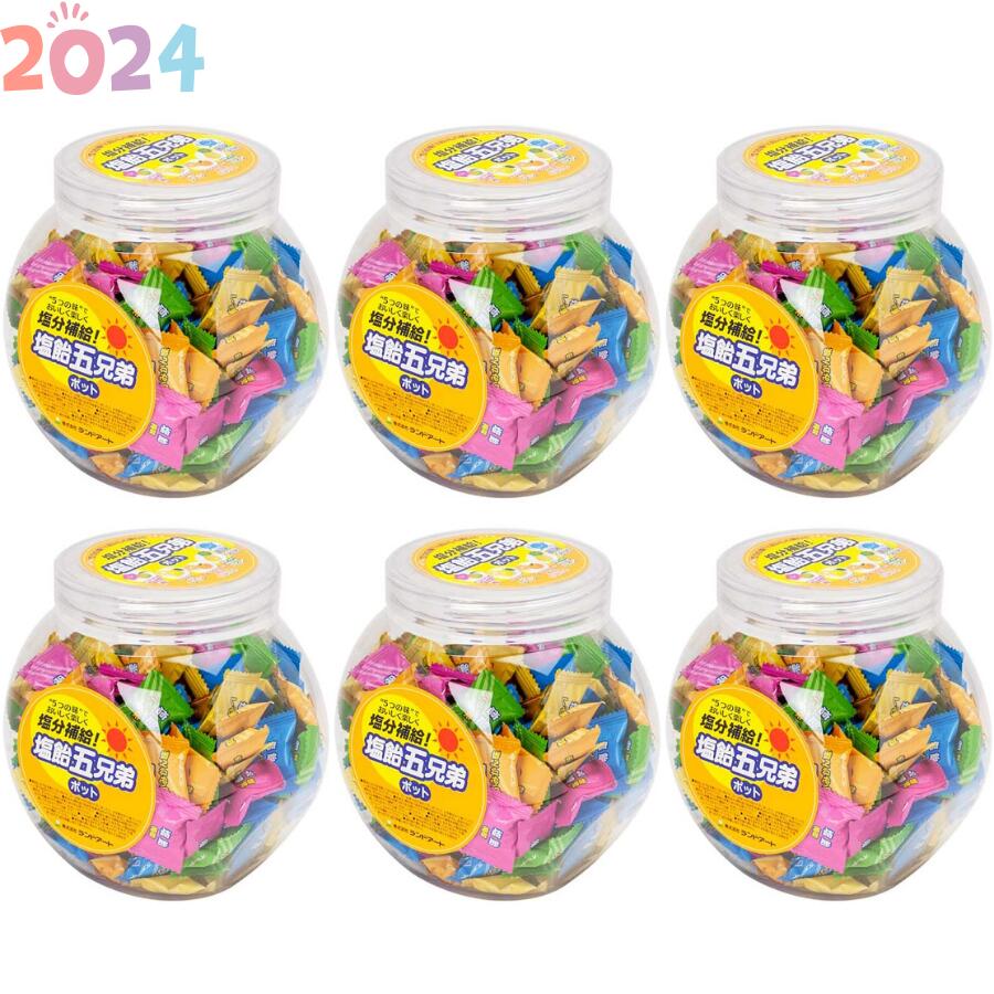 【2024年最新入荷】6ポットまとめ買い ランドアート 塩飴五兄弟ポット （600g 約150粒 x 6ポット） 5種詰め合わせ 塩飴 熱中症対策 塩飴5兄弟 塩分補給