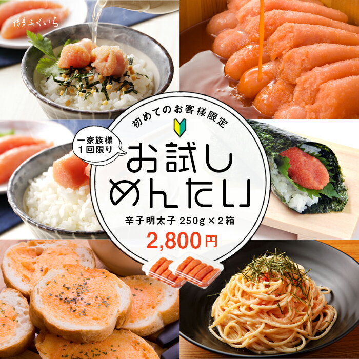 初回ネット限定・送料無料 お試し明太 切れ子 250g×2箱 1回限り 3セット迄】辛子明太子 メンタイ めんたいこ 訳あり ワケアリ 切子 家庭用 おすすめ 人気 博多ふくいち