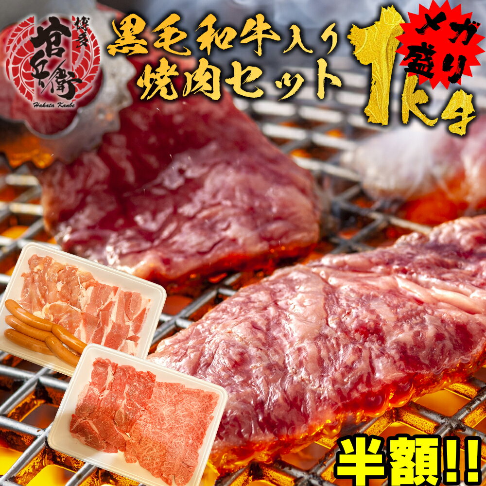 肉セット 【肉の日限定クーポンで半額★4990円】和牛焼肉セット（1kg）（和牛200g 牛ロース200g 豚焼肉200g 鶏焼肉250g ウインナー150g) 送料無料 バーベキュー BBQ 焼肉 焼肉セット 簡単 国産 黒毛和牛 和牛 豚肉 鶏肉 ウインナー御祝い おつまみ 家焼肉 家飲み 母の日 父の日