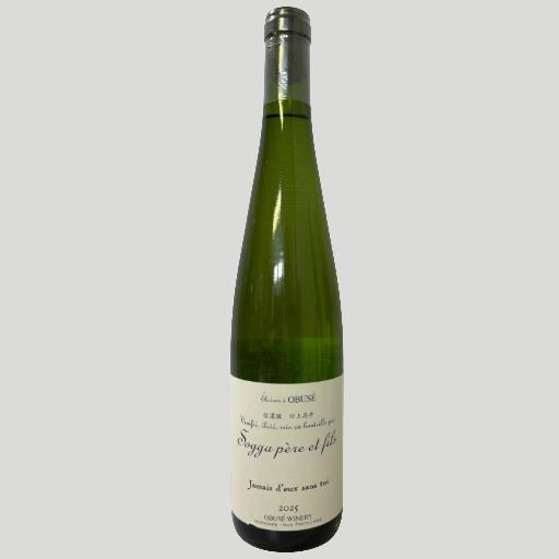 ソガペール エ フィス 邪女 ドゥー トロワ 750ml
