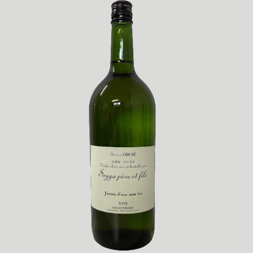 ソガペール エ フィス 邪女 ドゥー トロワ 1500ml