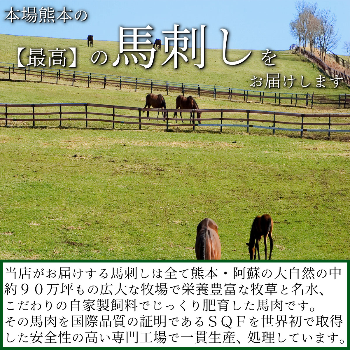 熊本馬刺し「厳選三種特盛」 馬刺し 熊本 霜降り 国産 馬肉 送料無料 たてがみ ロース 赤身 専用醤油タレ付き たれ お取り寄せ 贈り物 ギフト お祝い プレゼント ポイント消化 糖質制限