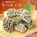 博多松葉 もつ鍋用 ホルモン 「和牛ハチノス 100g」 もつ鍋 もつなべ 牛もつ鍋 もつ モツ ホルモン 無添加 福岡 博多…