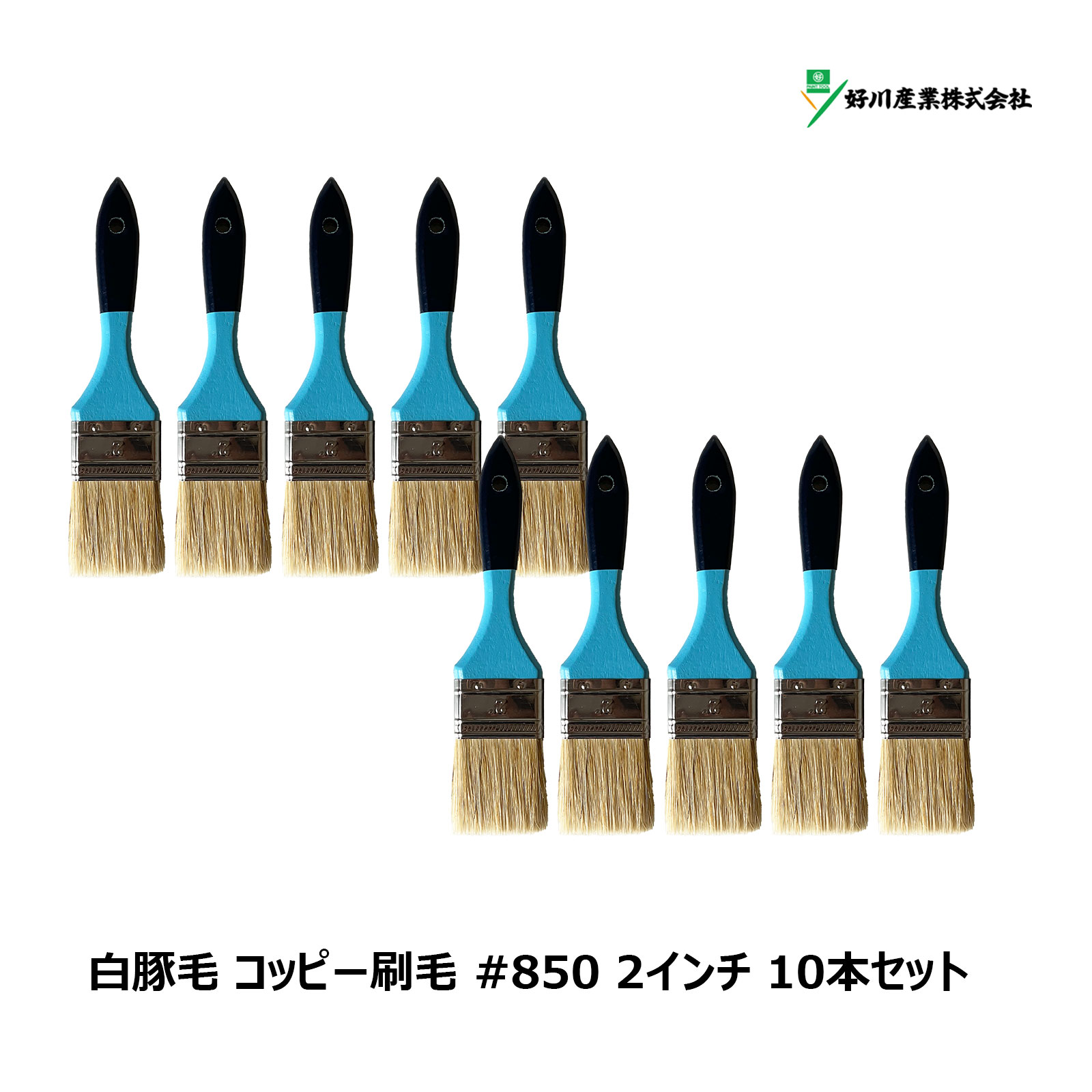 好川産業 刷毛 白豚毛 コッピー #850 2インチ 10本セット Y15643 ｜ マルヨシ 刷毛 ハケ ブラシ ラスター ダスター 掃き掃除 掃除道具 大掃除 洗車