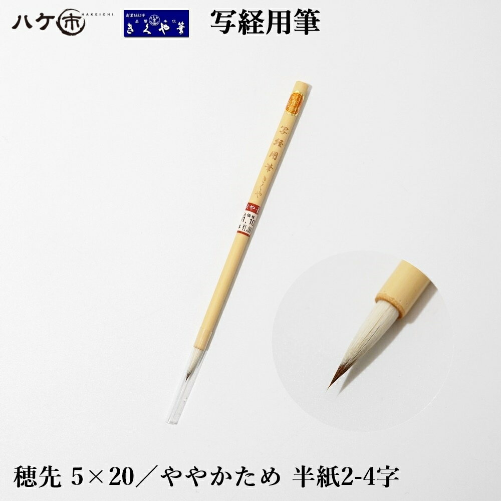 k2010901.jpg