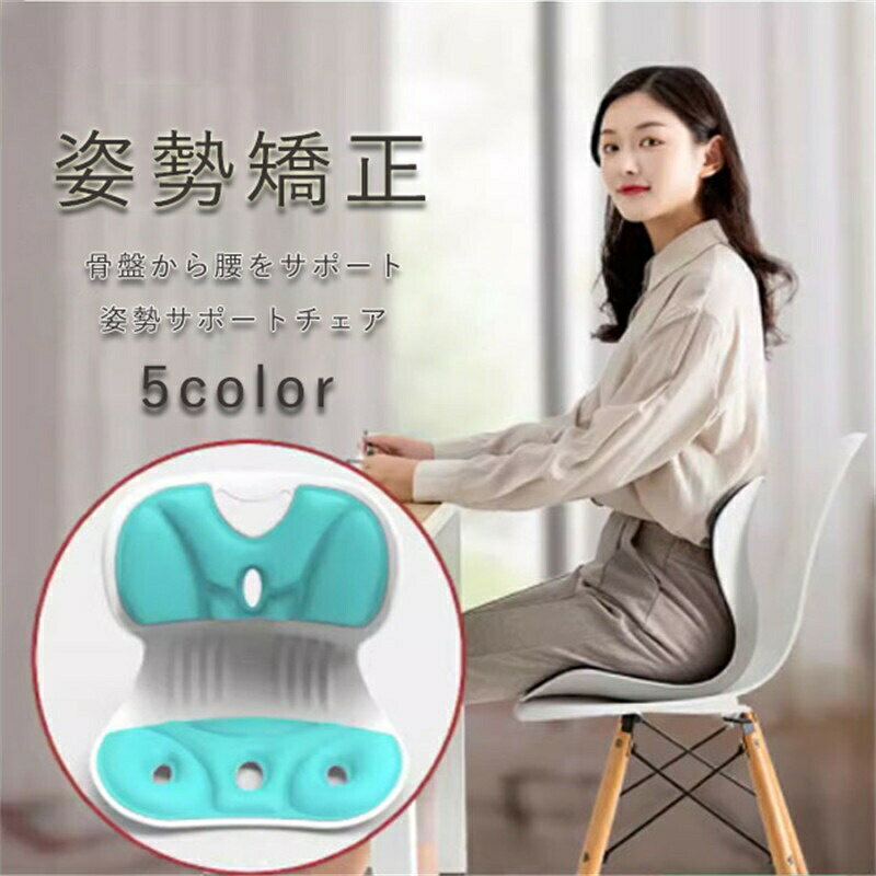姿勢矯正 椅子 骨盤から腰をサポート 姿勢サポートチェア 人体工学設計 猫背改善 腰痛対策 座椅子と ...