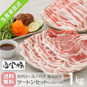 ＜2月決算セール！週替わり 2/19〜25 20%OFF対象品＞【送料無料・冷蔵配送】白金豚 バラ ＆ カタロース ツートンセット しゃぶしゃぶ用 スライス 各500g 1kg 国産 岩手県産 豚肉 プラチナポーク ブランド豚 お取り寄せ グルメ ギフト 花巻 鍋 焼きそば 豚キムチ ピェンロー