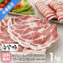 【冷凍配送・送料無料】 白金豚 バラ & カタロース ツートンセット 焼肉 鍋用 スライス 500g 各1パック 1kg 冷蔵配送 国産 岩手県産 豚肉 プラチナポーク ブランド豚 お取り寄せ グルメ ギフト 贈り物 花巻東 焼肉 カレー ビリヤニ ビンダル