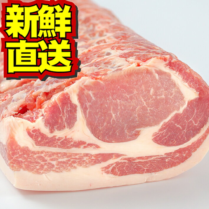 白金豚 ロース ブロック 500g 国産 岩手県産 豚肉 プラチナポーク 銘柄豚 ブランド豚 お取り寄せ グルメ ギフト 贈り物 ロース かたまり肉 花巻東北 花巻名物 とんかつ