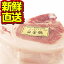 【送料無料・冷蔵配送】白金豚 Tボーン 1枚 国産 岩手県産 豚肉 銘柄豚 ブランド プラチナポーク 骨付き ロース かたまり肉 お取り寄せ グルメ ギフト 贈り物 花巻東北 花巻名物 ポークステーキ スペアリブ バーベキュー