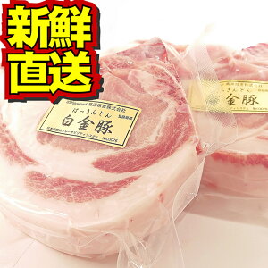 【送料無料】白金豚 Lボーン 2枚 セット 冷凍配送 国産 岩手県産 豚肉 プラチナポーク 銘柄豚 ブランド豚 骨付き ロース かたまり肉 お取り寄せ グルメ ギフト 贈り物 花巻東北 花巻名物 ポークステーキ スペアリブ バーベキュー