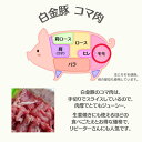 【送料無料・冷蔵配送】 白金豚 万能 スライス 小間 1kg 2kg 3kg 4kg 5kg プラチナポーク 豚肉 こま切れ 国産 岩手県 切り落とし お取り寄せグルメ ブランド豚 豚汁 焼きそば 3