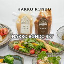 HAKKORONDO SET 2個セット 淡路島産 玉ねぎ麴 薬膳塩麴 発酵調味料 塩麹 万能調味料 淡路島 米麹 腸活 ハッコーロ...