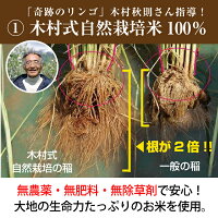 奇跡の酵素玄米粉4
