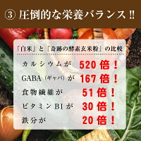 奇跡の酵素玄米粉6