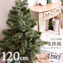 クリスマスツリー 120cm 北欧 おしゃれ 120 ドイツトウヒツリー ヌードツリー スリム オシャレ 高級クリスマスツリー オーナメントなし 飾りなし かわいい リアル 松ぼっくり 小さめ インテリア アビエス Abies 北欧風 プレゼント 1