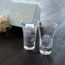 酒器 冷感花火 グラス 花火 天開 P01145 ペアセット 丸モ 高木陶器 [ 冷酒グラス ペアグラス 出産祝い 結婚祝い 誕生日 退職祝い 誕生日 記念日 ...