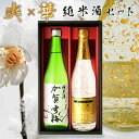 日本酒セット 金箔入り 飲み比べセット 加賀雪梅 金彩 中村酒造 720ml×2本 金粉 お酒 飲み比べ 石川県 金沢 [ グルメ…