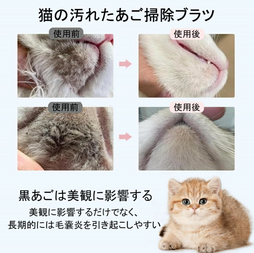 ������������ǭ �֥饷 6�ĥ��å� ǭ ��С��֥饷 ǭ�������줿�����ݽ��֥饷 ǭ ξ�̥��꡼�˥󥰥֥饷 ǭ���ƥ֥饷 ���𥷥ꥳ�� �Ѽ�����ξ��ǭ�֥饷 ǭ�ѥ֥饷ǭ�ι����߽���