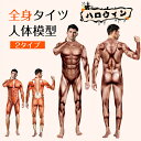 ハロウィン コスプレ 大人 全身タイツ 衣装 コスチューム 筋肉 人体模型 人体 模型 筋肉模型 医学模型 変装 仮装 コスプレ 男性 メンズ