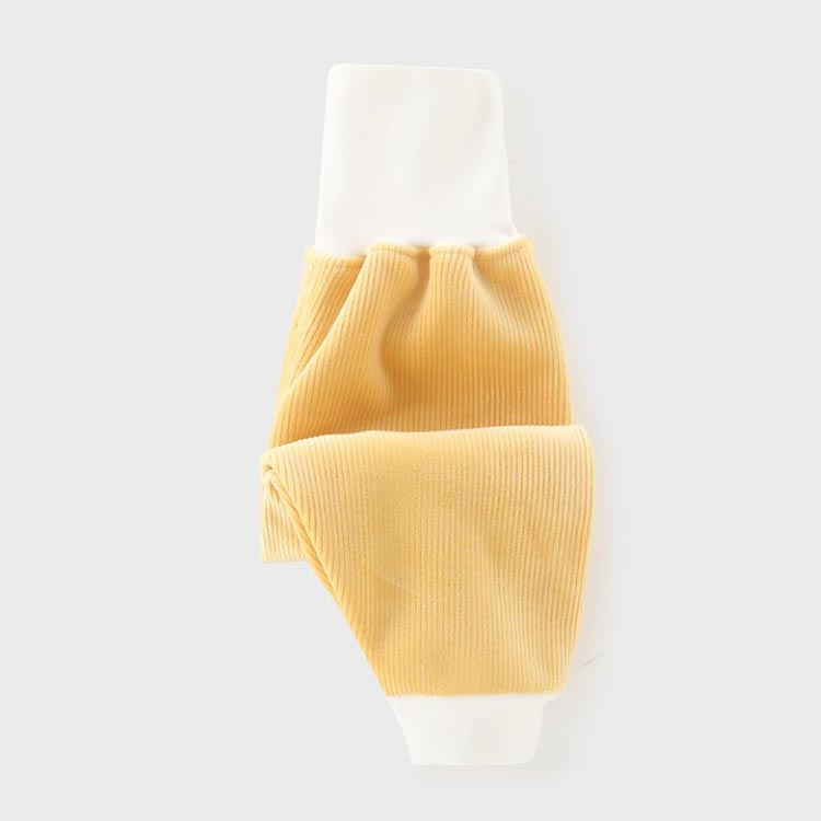 ʢ���� �ѥ�� �쥮�� ���å� �Ϥ�ޤ� �ѥ�� �٥ӡ��� �Ҷ��� �쥮�󥹥ѥ�� �ˤλ� ���λ� �����奢�� �ʥ����� ���襤�� �Ҷ� �٥ӡ� ���å� ������ �ѥ�� ʢ���� �Ȥ��� ���� �ץ쥼��� �ɴ��к� �к� �İ���