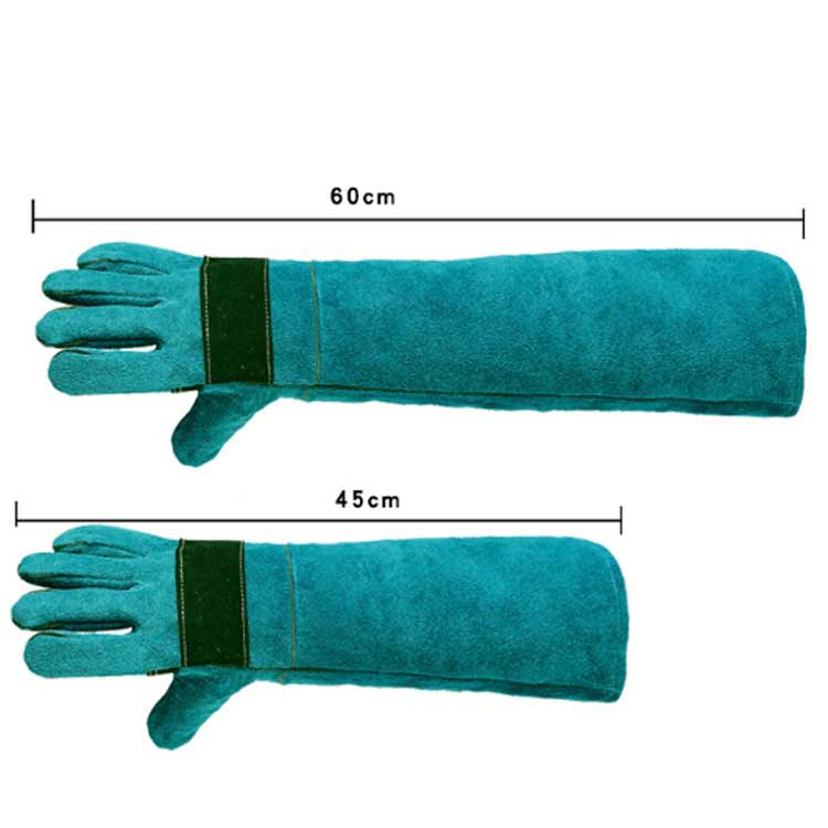 ���ߤĤ��ɻ� �ڥåȥ������� 60cn ���� �˸����� ���� ���� �����ߤ� �ݸ������ ������ �����եƥ��������� ��ȼ��� ���ߤĤ� ������ �к� �� ǭ Ļ ����� ����̵�� �������å� ξ����