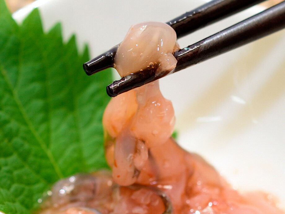 【函館竹田食品】たこの塩辛（170g）