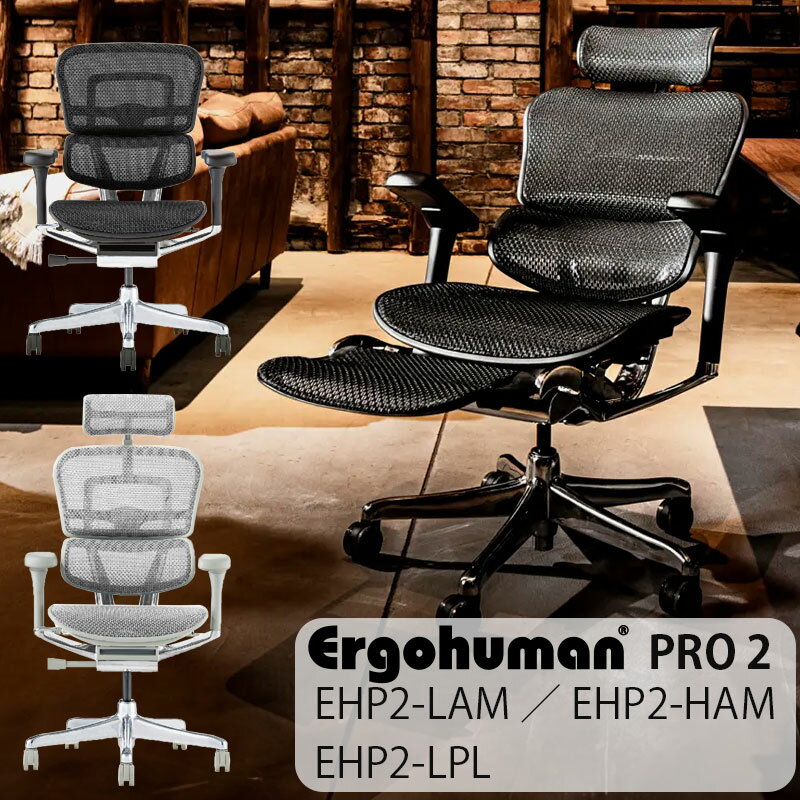 【レビュー超特典あり】エルゴヒューマン プロ2 ergohuman pro2 チェア ビジネスチェア オフィスチェア キャスター オットマン有