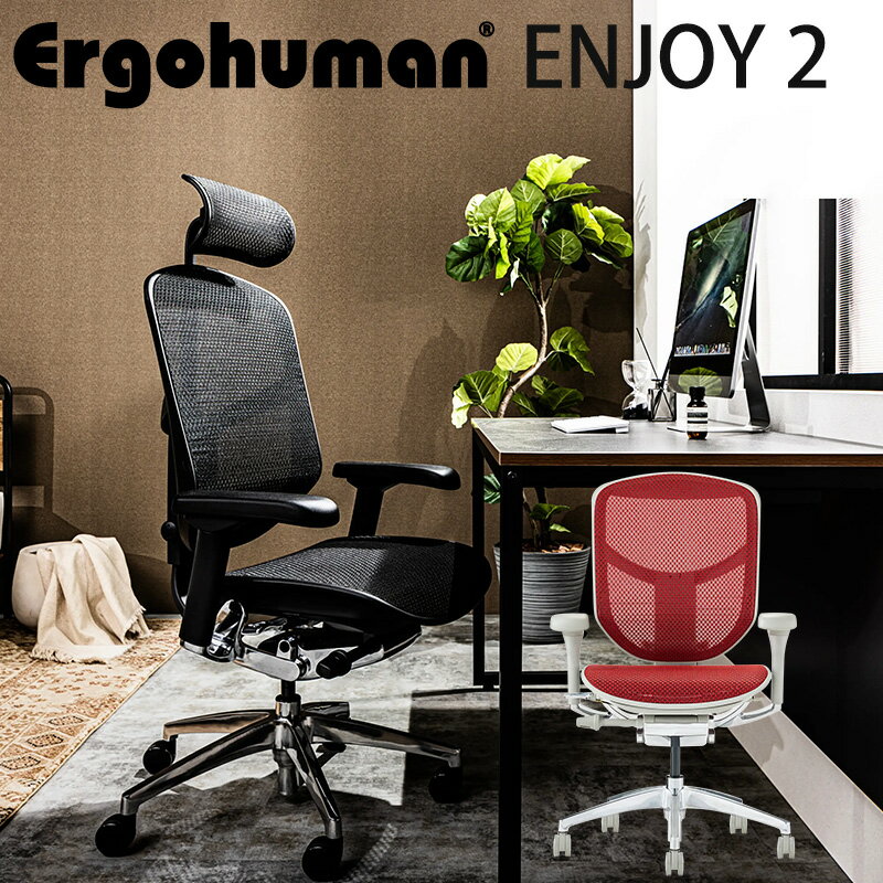 sk-ergo-enjoy_1.jpg sk-ergo-enjoy_1.jpg