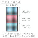 SLEEPWELL スリープウェル ポケットコイルマットレス シングル セミダブル ダブル スプリング 3ゾーン構造 ベッドマット SW-23 3