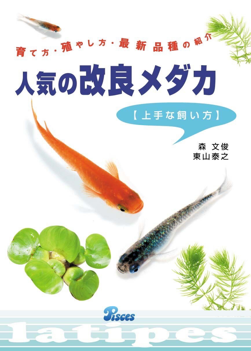 人気の改良メダカ　上手な飼い方　ピーシーズ【送料無料】