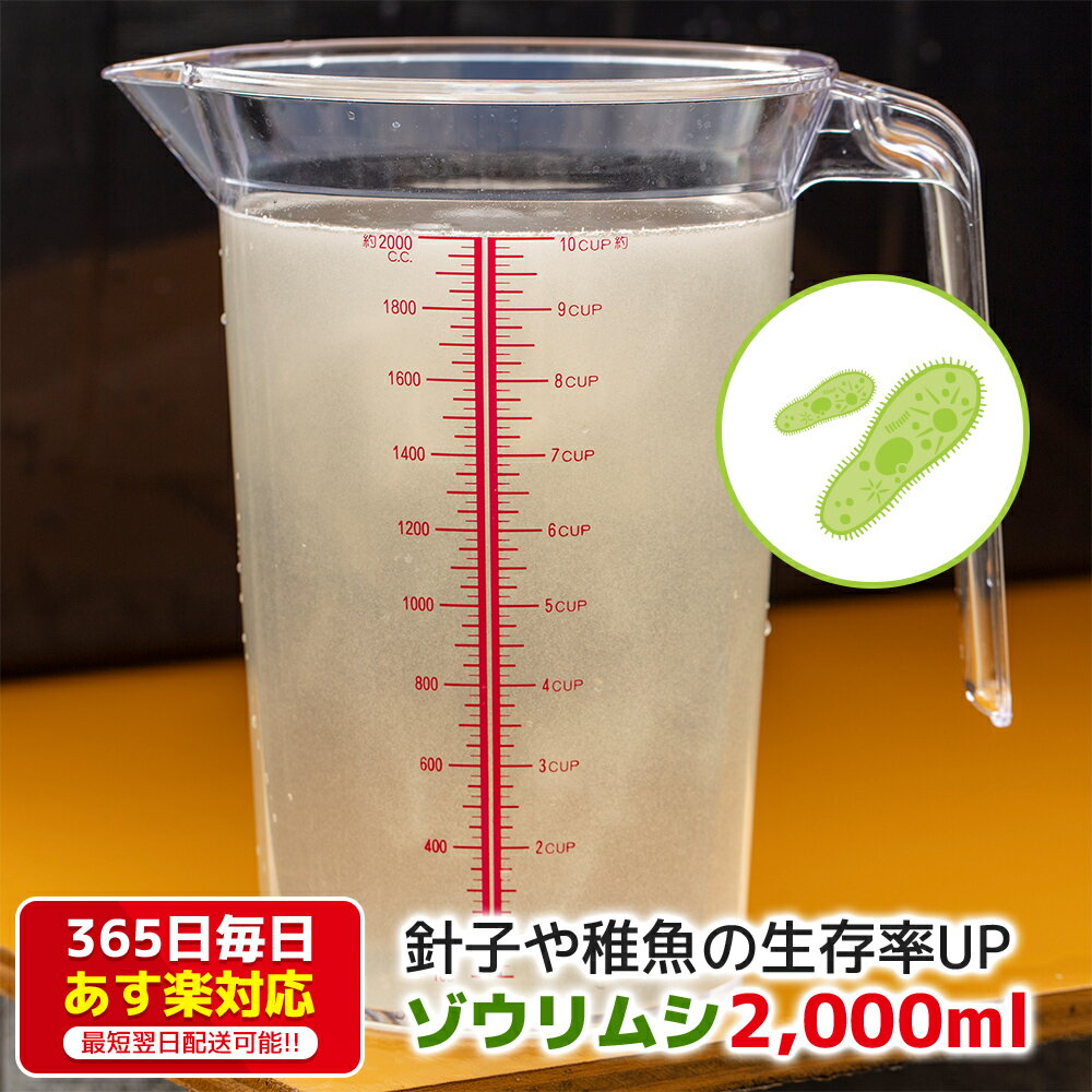 ゾウリムシ 2000ml 送料無料 針子から稚魚に最適 あす楽対応 12時までの注文でその日に発送  ...