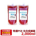 特濃PSB 光合成細菌 2000ml 送料無料 針子から稚魚に最適 あす楽対応 12時までの注文でそ ...