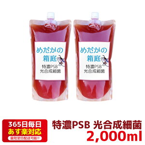 特濃PSB 光合成細菌 2000ml 送料無料 針子から稚魚に最適 あす楽対応 12時までの注文でその日に発送 水質改善や稚魚の生存率、成長率アップに！