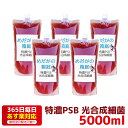 特濃PSB 光合成細菌 5000ml 送料無料 針子から稚魚に最適 あす楽対応 12時までの注文でその日に発送 水質改善や稚魚の生存率 成長率アップに！