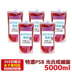 特濃PSB 光合成細菌 5000ml 送料無料 針子から稚魚に最適 あす楽対応 12時までの注文でその日に発送 水質改善や稚魚の生存率、成長率アップに！