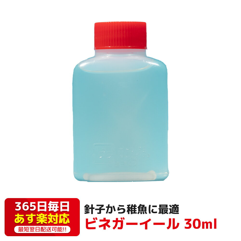 ビネガーイール 30ml 送料無料 簡単に培養 12時までの注文でその日に発送