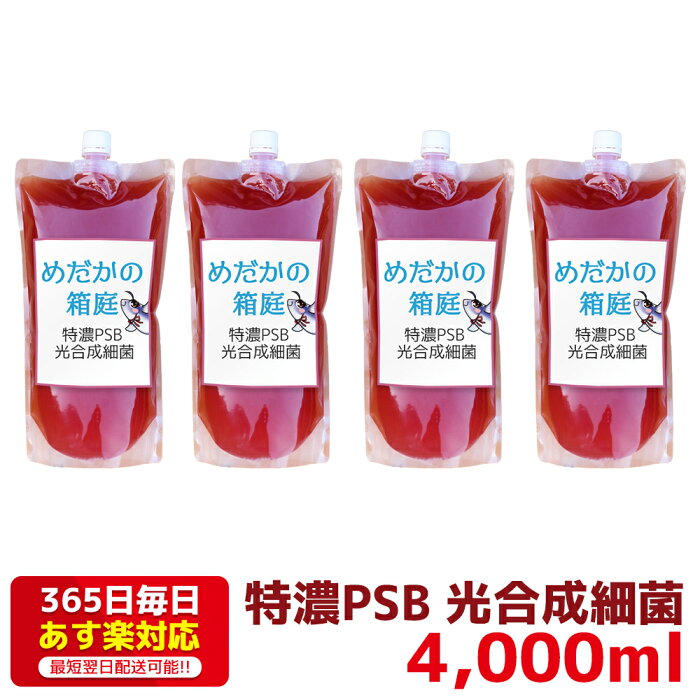 特濃PSB 光合成細菌 4000ml 送料無料 針子から稚魚に最適 あす楽対応 12時までの注文でその日に発送 水質改善や稚魚の生存率、成長率アップに！