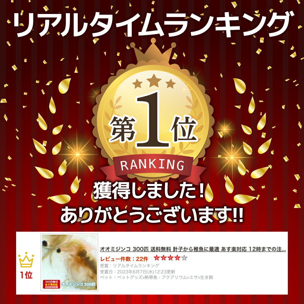 オオミジンコ 300匹 送料無料 針子から稚魚に最適 12時までの注文でその日に発送 抜群の食いつきと栄養！ 3