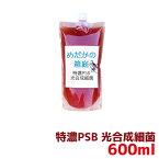 特濃PSB 光合成細菌 600ml 送料無料 針子から稚魚に最適 12時までの注文でその日に発送 水質改善や稚魚の生存率、成長率アップに！