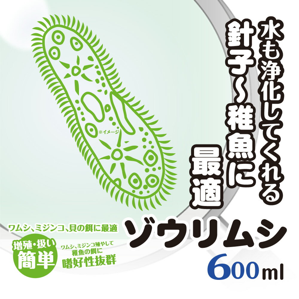 ゾウリムシ 600ml 送料無料 針子から稚魚に最適 12時までの注文でその日に発送 生存率が違う  ...