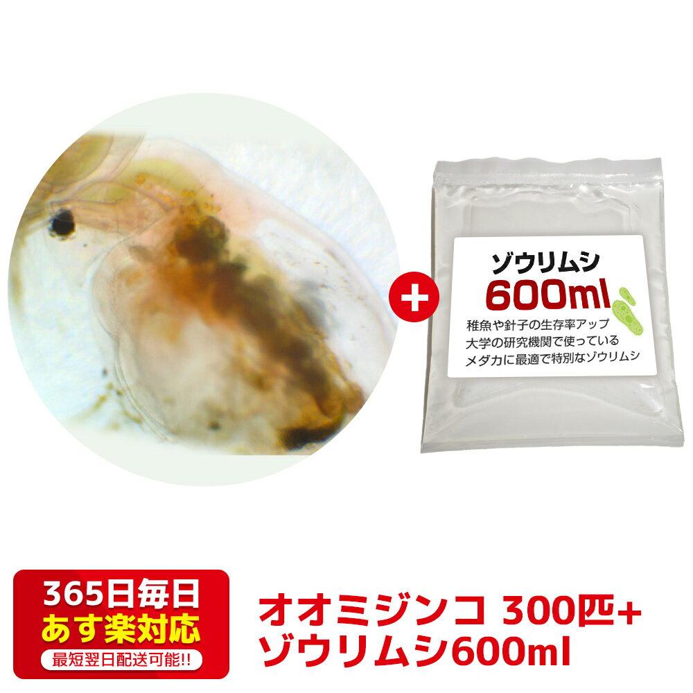 オオミジンコ300匹+ゾウリムシ600ml 